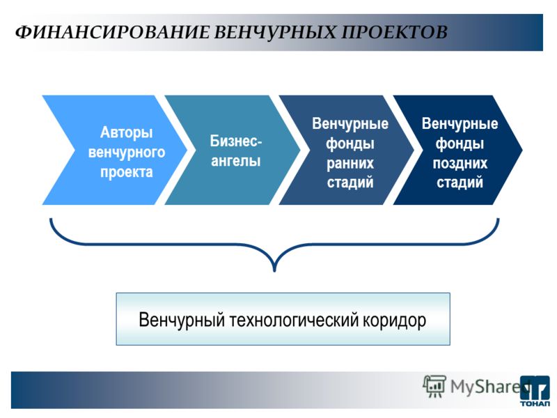 Что такое венчурный проект: что это такое, особенности и типы