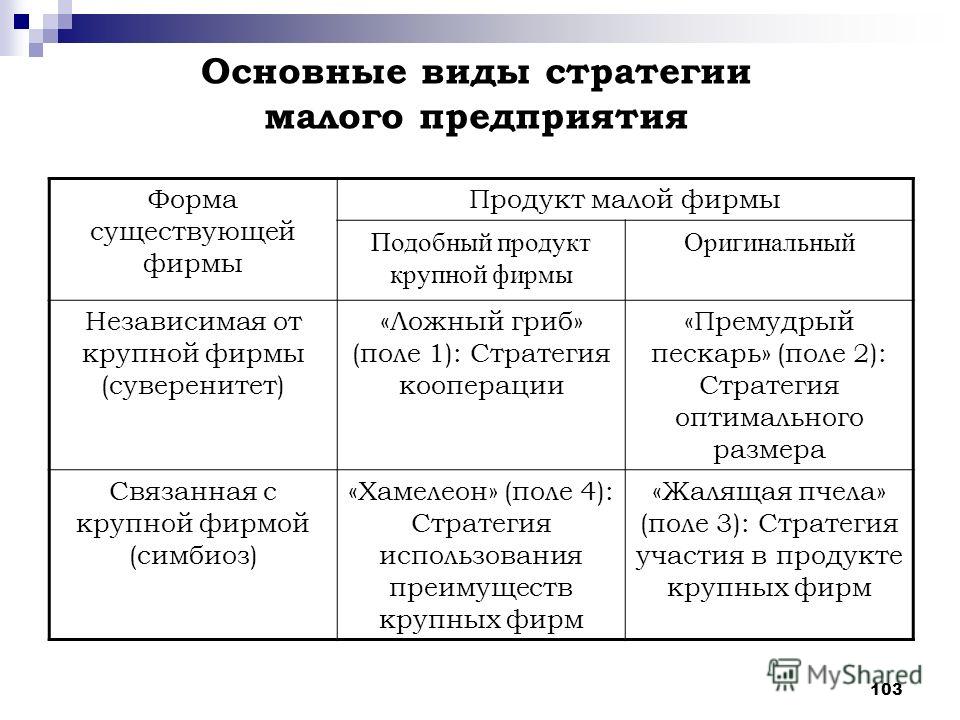 Какие стратегии развития предприятия бывают: модели, инструменты и этапы, примеры