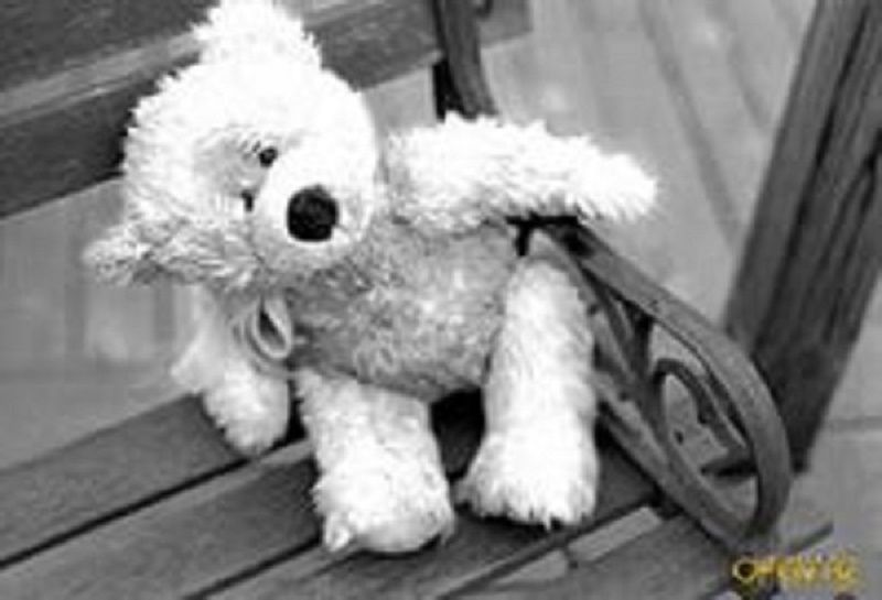 Кто ты, мишка Тедди? История появления очаровательного медвежонка, фото № 5