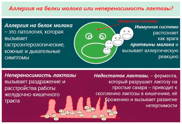 Лактозная непереносимость и аллергия на молоко: симптомы, диагностика и жизнь с ними