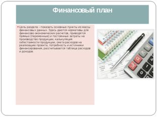 Финансовый план Цель раздела – показать основные пункты из массы финансовых д