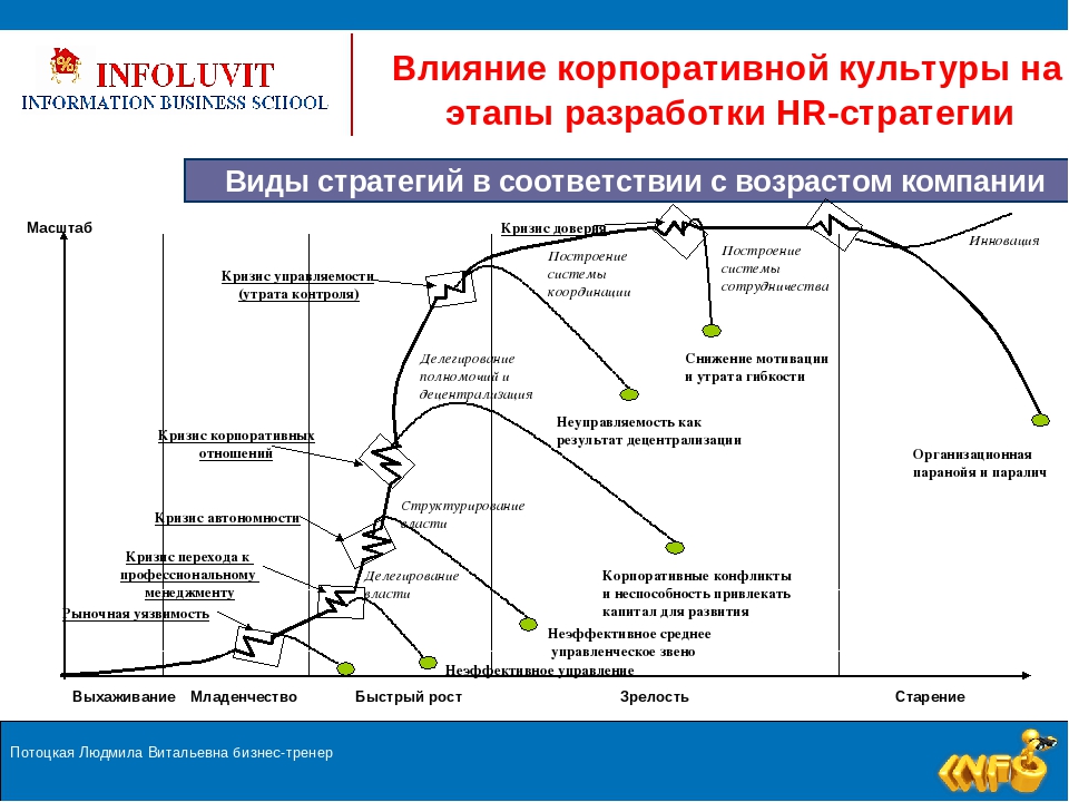 Жизненные этапы организации: Модели жизненного цикла организации – Научно-образовательный портал IQ – Национальный исследовательский университет «Высшая школа экономики»