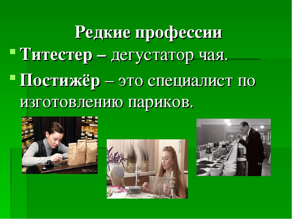 Самые интересные профессии в мире: Самые интересные профессии. ПрофГид