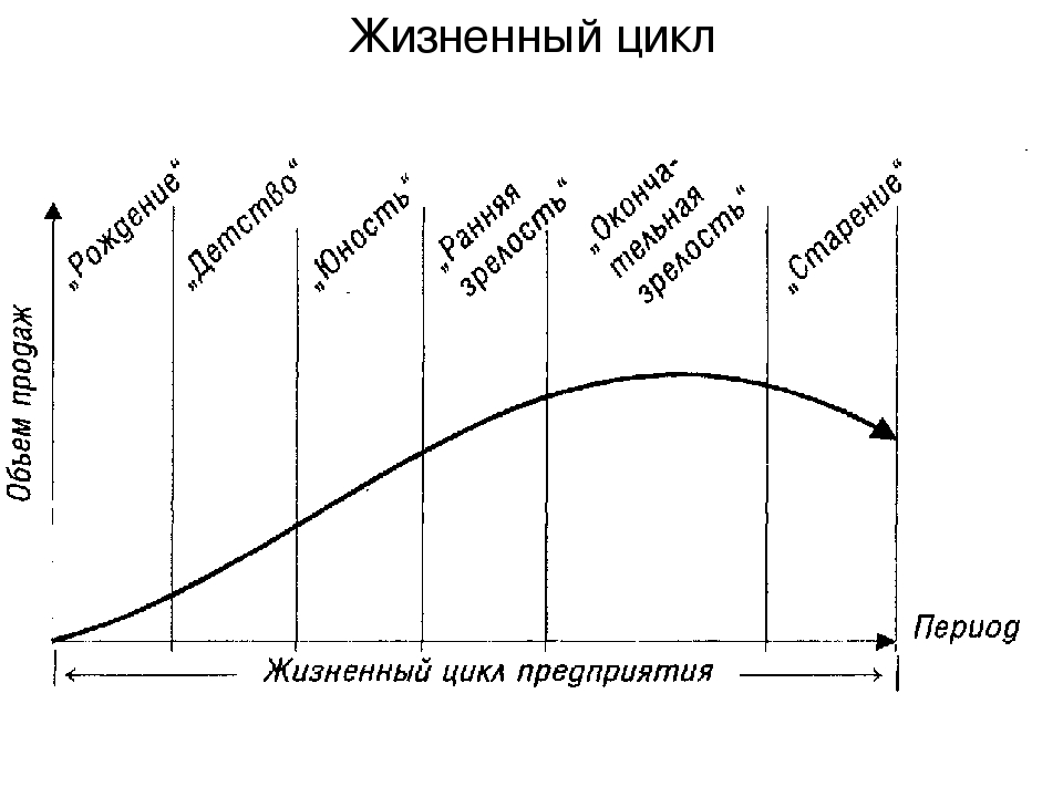 Жизненные этапы организации: Модели жизненного цикла организации – Научно-образовательный портал IQ – Национальный исследовательский университет «Высшая школа экономики»