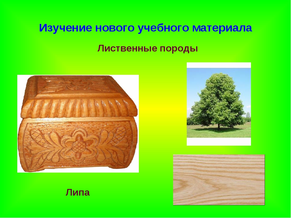 Что получают из дерева: Страница не найдена - Строительные материалы от А до Я