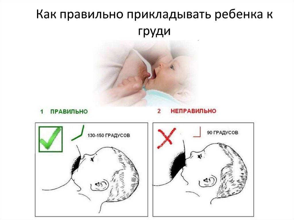 Как правильно прикладывать новорожденного к груди: пошаговая инструкция