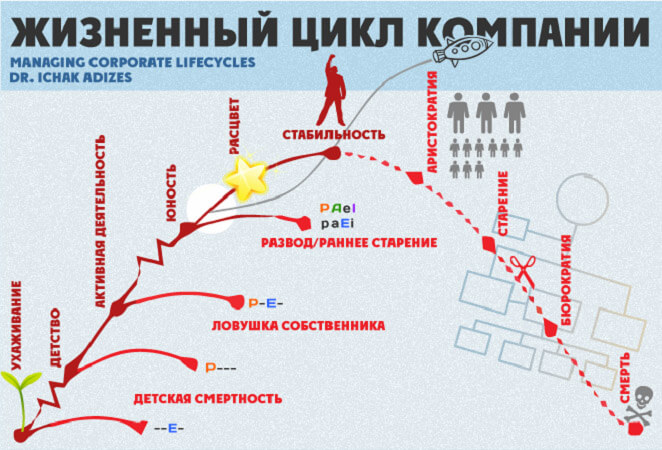 Жизненные этапы организации: Модели жизненного цикла организации – Научно-образовательный портал IQ – Национальный исследовательский университет «Высшая школа экономики»