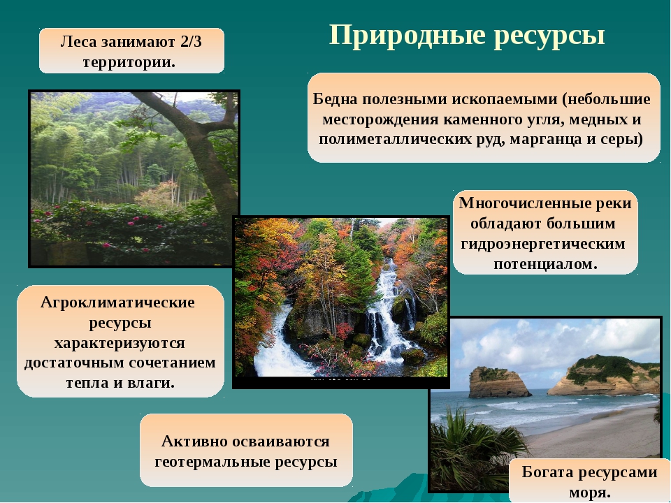 Какие богатства природы люди называют возобновимыми: Какие богатства природы люди называют возобновимыми