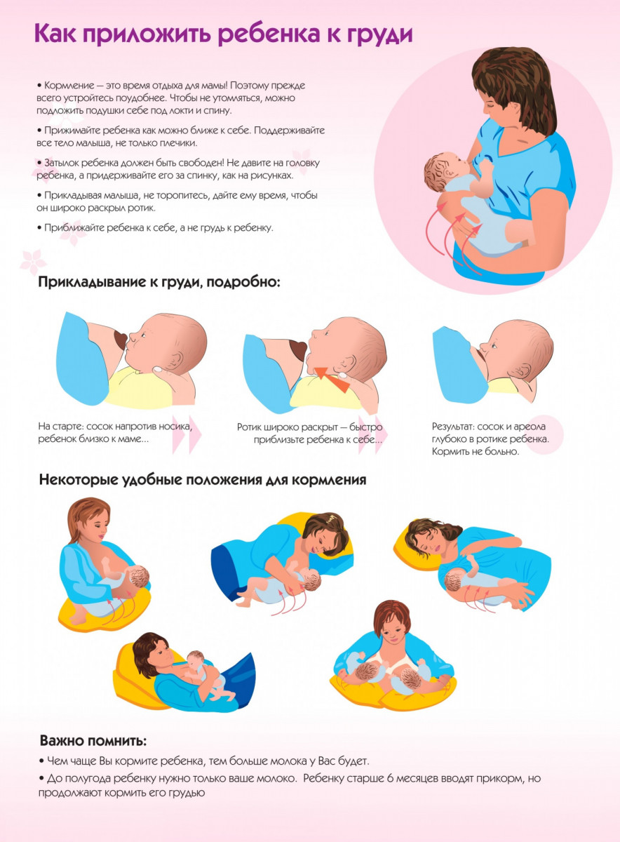 Как правильно прикладывать новорожденного к груди: пошаговая инструкция