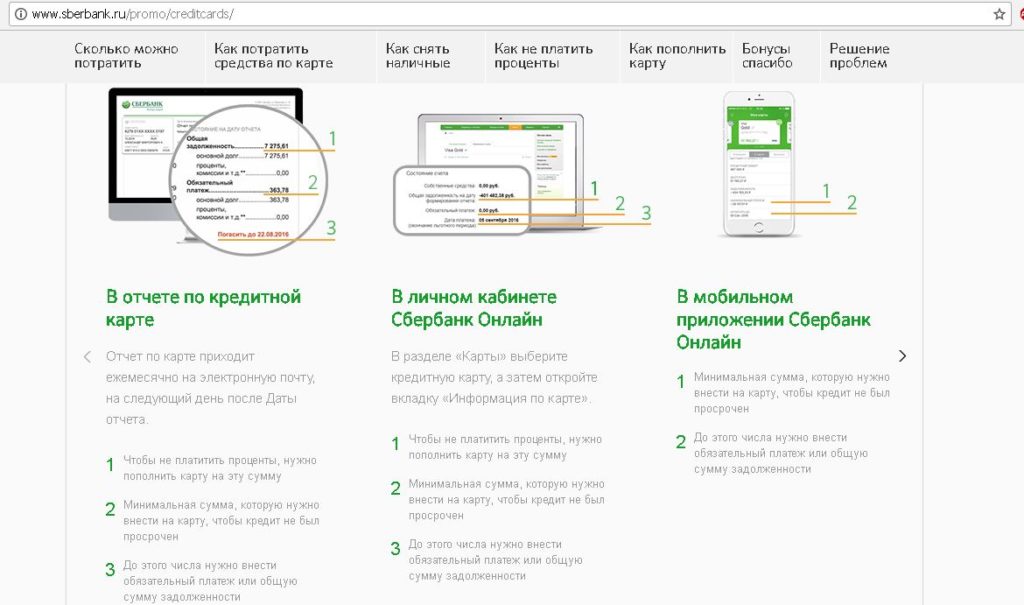 Какой процент по кредитной карте сбербанка: Кредит или кредитная карта?