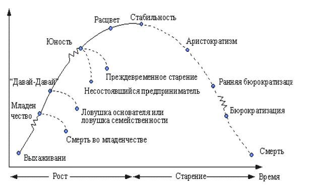 Жизненные этапы организации: Жизненный цикл организации: от рождения до смерти – Жизненный цикл организации (предприятия): этапы и стадии