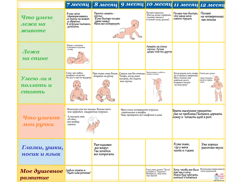 Развитие ребенка по месяцам: основные этапы и навыки от 0 до 12 месяцев