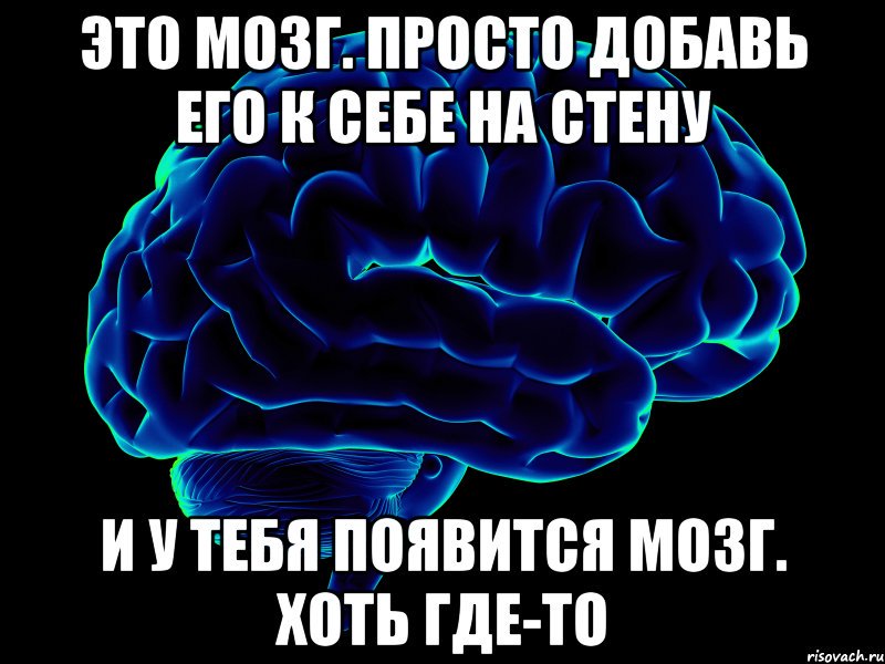 Пораскинуть мозгами: Синонимы «пораскинуть мозгами»