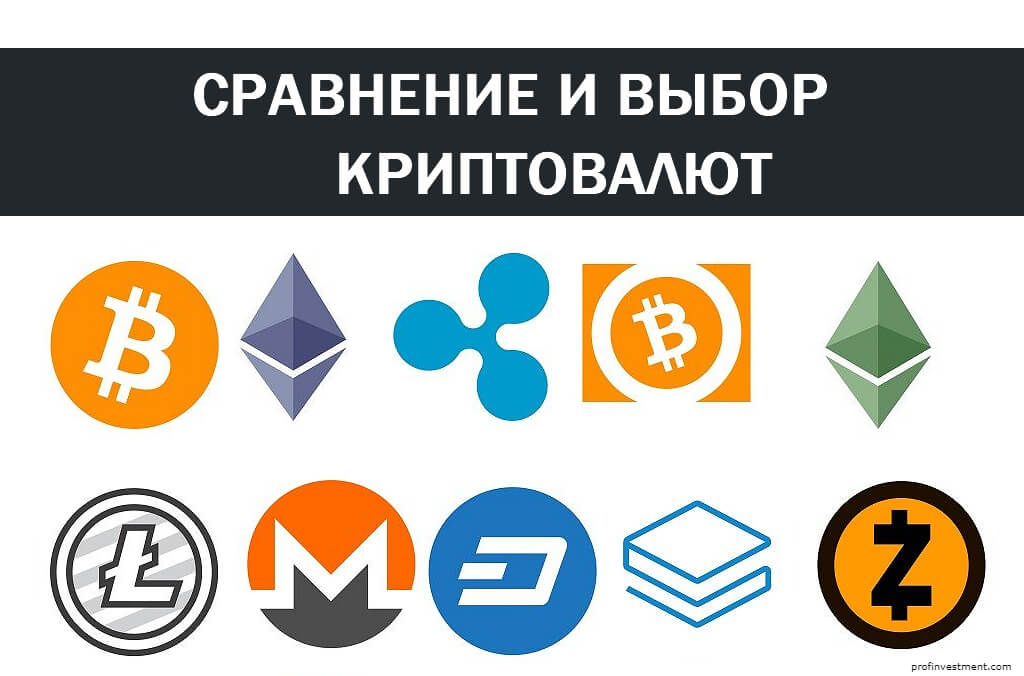 Криптовалюты типы: новые валюты, их стоимость и курс