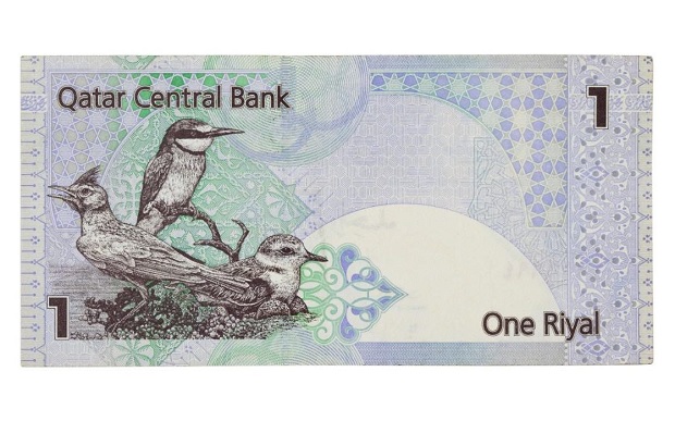 qatar_riyal