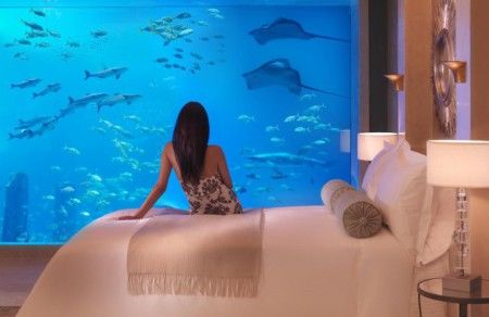 Посейдон отель фиджи: Poseidon Undersea Resorts – Подводный отель на Фиджи | Необычные отели
