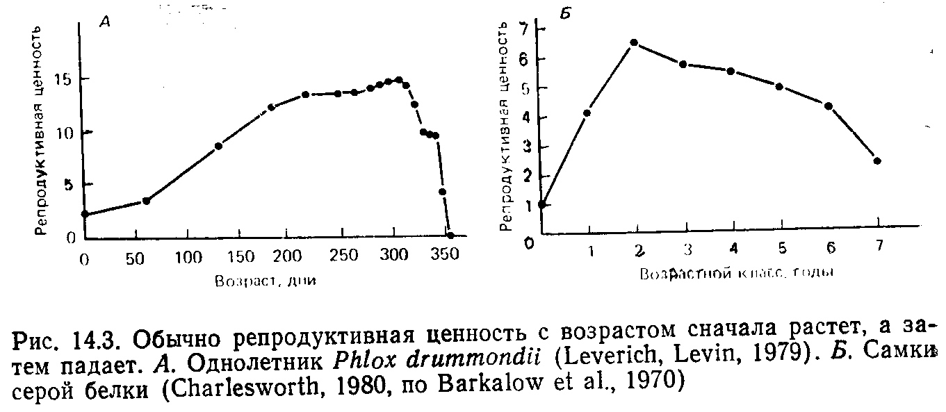 Типы жизненных циклов: Жизненный цикл (биология) — Википедия