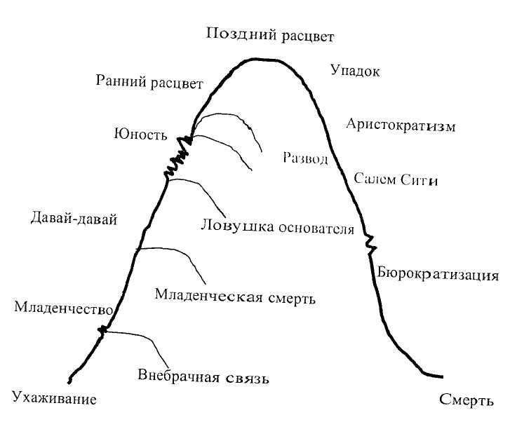 Модель жизненного цикла грейнера: 1.2. Модель жизненного цикла организации л.Грейнера – Жизненный цикл организации (предприятия): этапы и стадии