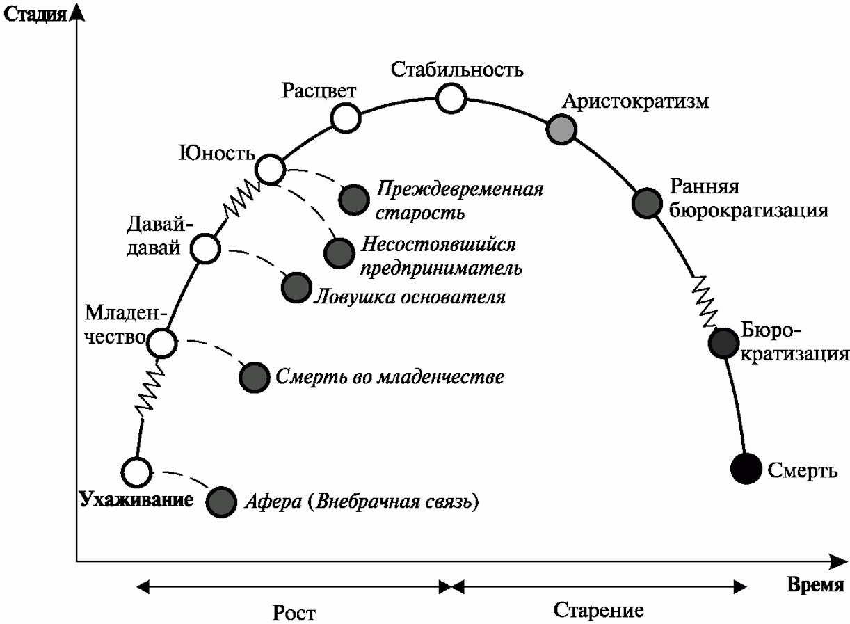 Этап жизненного цикла организации: Жизненный цикл организации по Адизесу. Тест