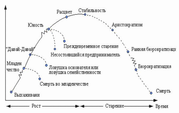 Жизненный цикл и законы организации: 6.2. Законы развития и жизненный цикл организации – Сущность, законы функционирования и жизненный цикл существования организации