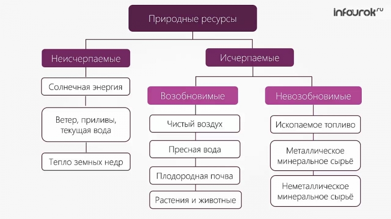 Какие богатства природы люди называют возобновимыми: Какие богатства природы люди называют возобновимыми