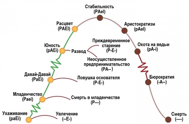Жизненные этапы организации: Модели жизненного цикла организации – Научно-образовательный портал IQ – Национальный исследовательский университет «Высшая школа экономики»