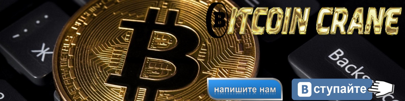 Криптовалюты типы: новые валюты, их стоимость и курс