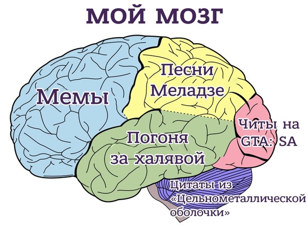 Пораскинуть мозгами: Синонимы «пораскинуть мозгами»