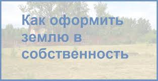 Оформить земельный участок в собственность: Как оформить земельный участок в собственность 2020