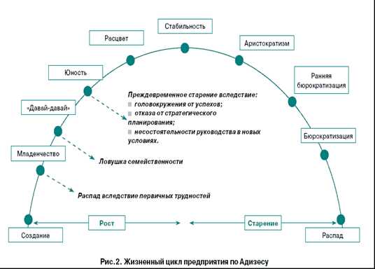 Этап жизненного цикла организации: Жизненный цикл организации по Адизесу. Тест