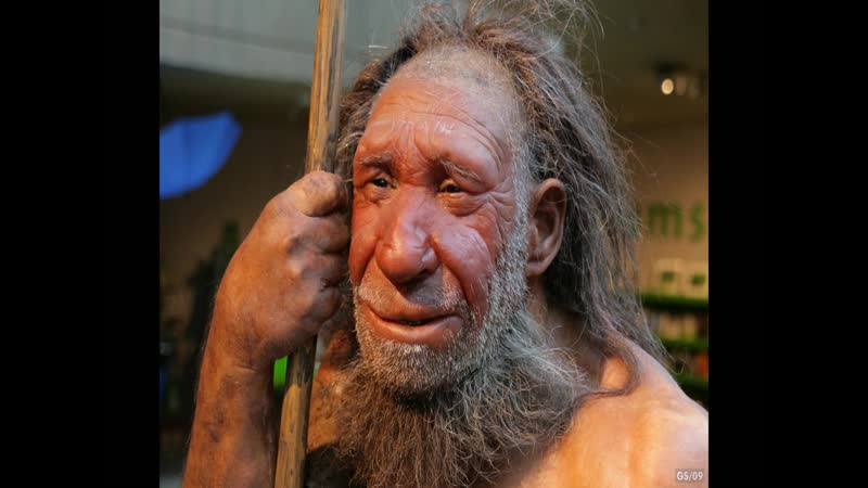 Что такое человек современный: Современный человек оказался ближе к неандертальцам, чем к денисовцам - исследование / Интерфакс