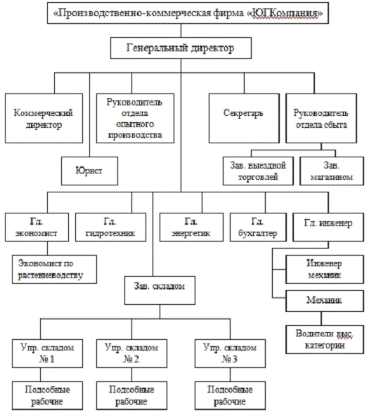 Функции коммерческого директора: Коммерческий директор - должностные инструкции функции обязанности и требования